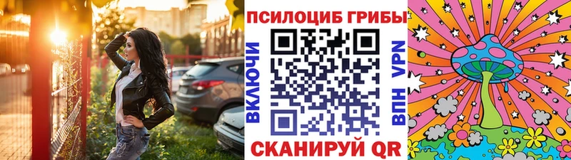 omg маркетплейс  сколько стоит  Медынь  Псилоцибиновые грибы Cubensis 